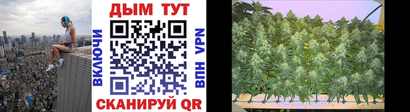 Шишки марихуана SATIVA & INDICA Семикаракорск